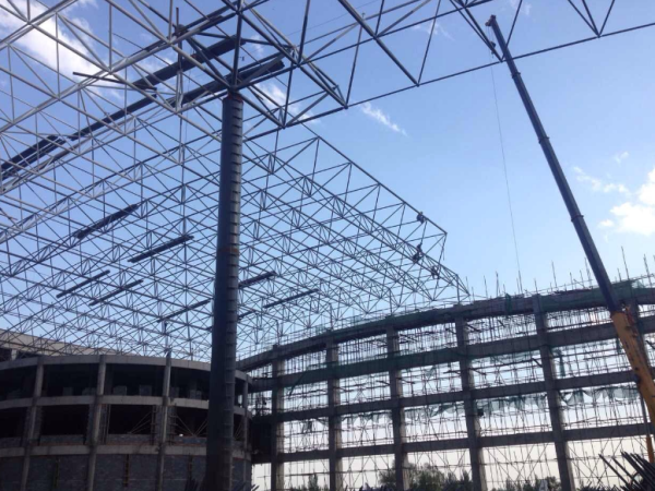 柳州煤棚网架